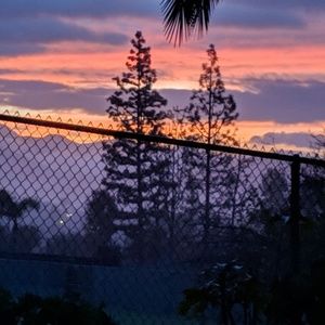 Not for sale just pretty